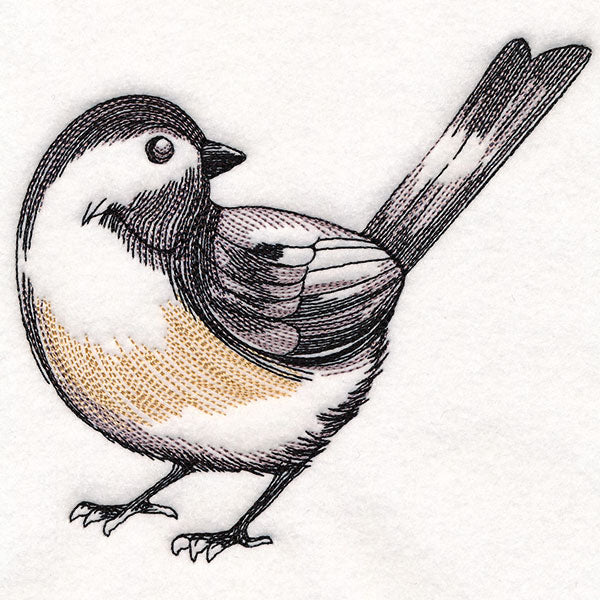 Chickadee Etching - Image 3