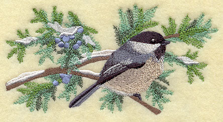 Chickadee in Juniper Boughs and Berries Border - Image 2