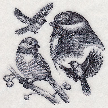 Chickadee Sketch - Image 4