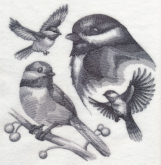Chickadee Sketch - Image 5