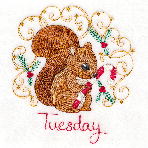Christmas Squirrel on Tuesday
