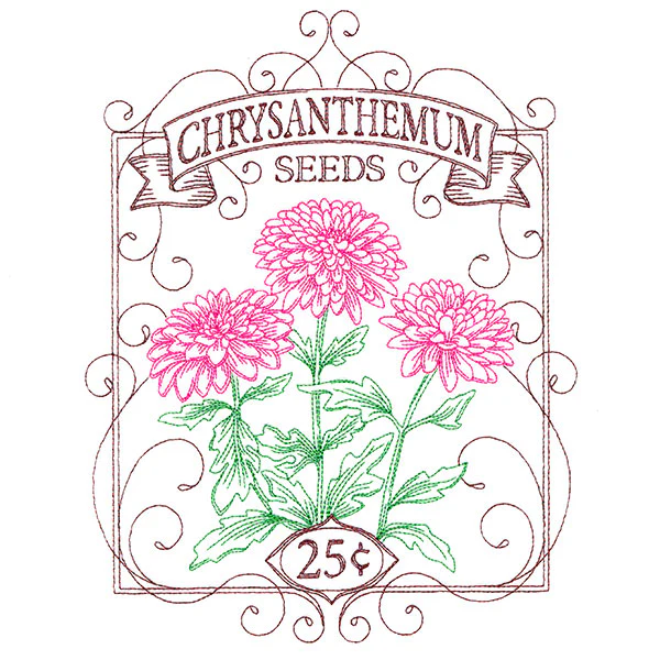 Chrysanthemum Seed Packet - Image 7