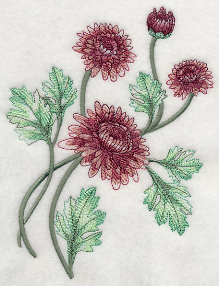 Classy Chrysanthemums 2 - Image 4