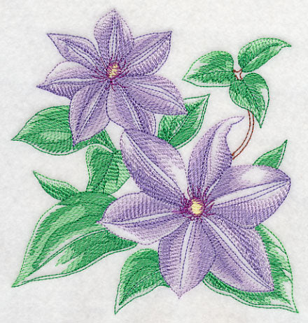 Clematis Sketch - Image 3