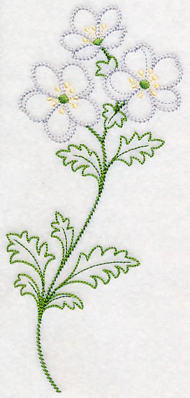 Cliff Rose (Vintage) - Image 3