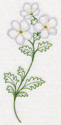 Cliff Rose (Vintage) - Image 4