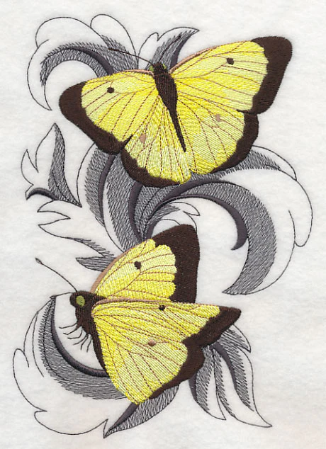 Clouded Sulfur Butterflies with Baroque Background - Image 2