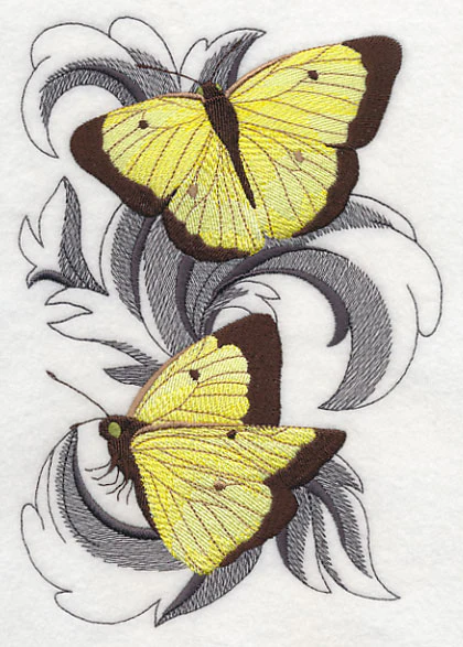Clouded Sulfur Butterflies with Baroque Background - Image 3