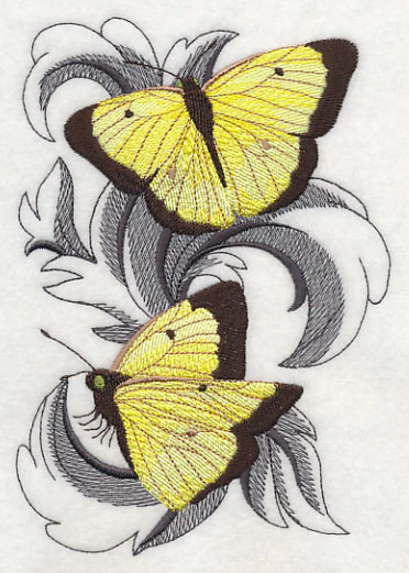 Clouded Sulfur Butterflies with Baroque Background - Image 4