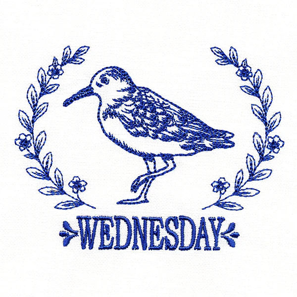 Coastal Sandpiper on Wednesday - Image 2