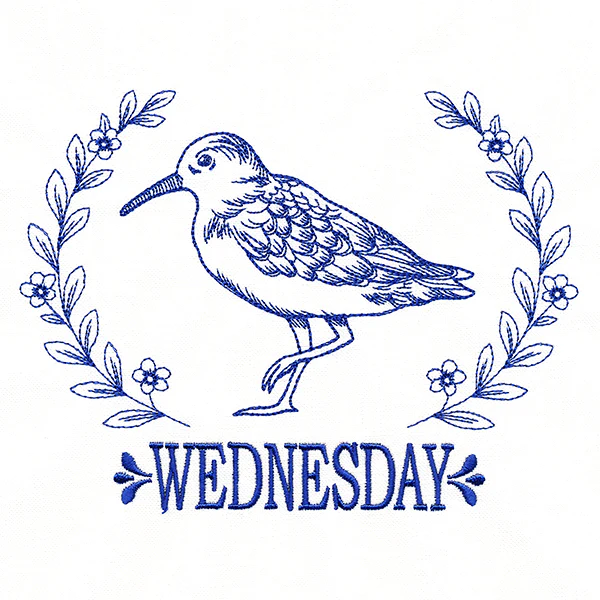 Coastal Sandpiper on Wednesday - Image 3