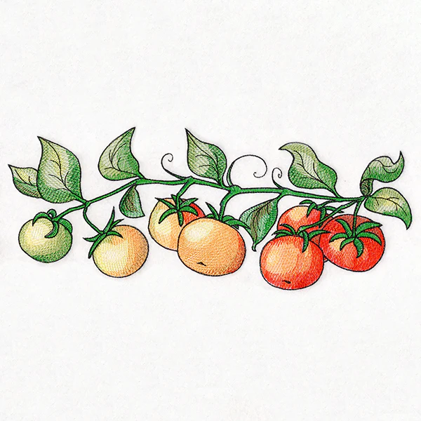 Color Theory Tomato Border - Image 2