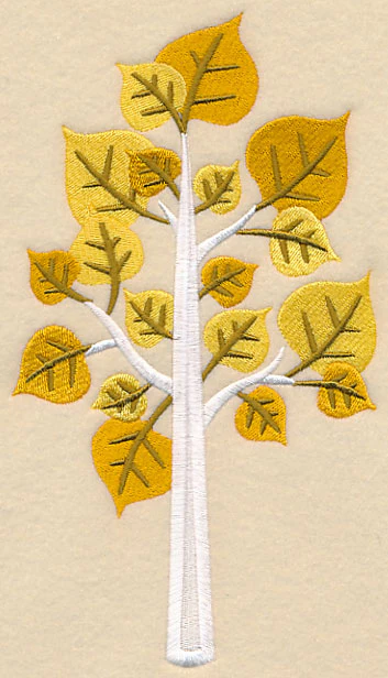Colors of Fall - Aspen Tree - Image 2