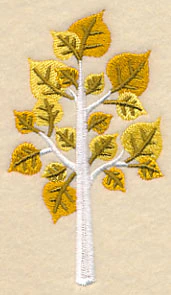 Colors of Fall - Aspen Tree - Image 5