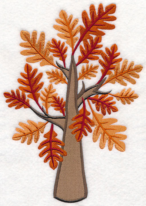 Colors of Fall - Oak Tree - Image 6