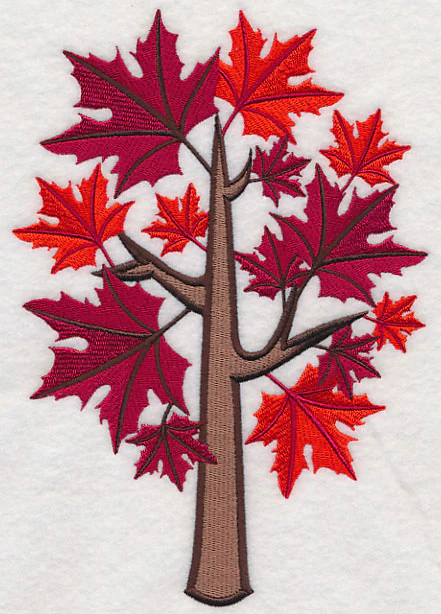 Colors of Fall - Sugar Maple Tree - Image 2