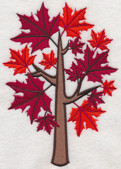 Colors of Fall - Sugar Maple Tree - Image 3