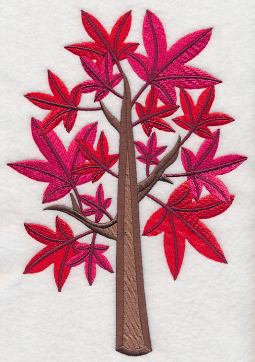 Colors of Fall - Sweet Gum Tree