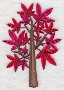 Colors of Fall - Sweet Gum Tree - Image 5