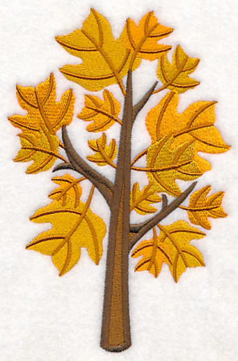 Colors of Fall - Yellow Poplar Tree - Image 4