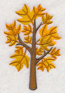 Colors of Fall - Yellow Poplar Tree - Image 5