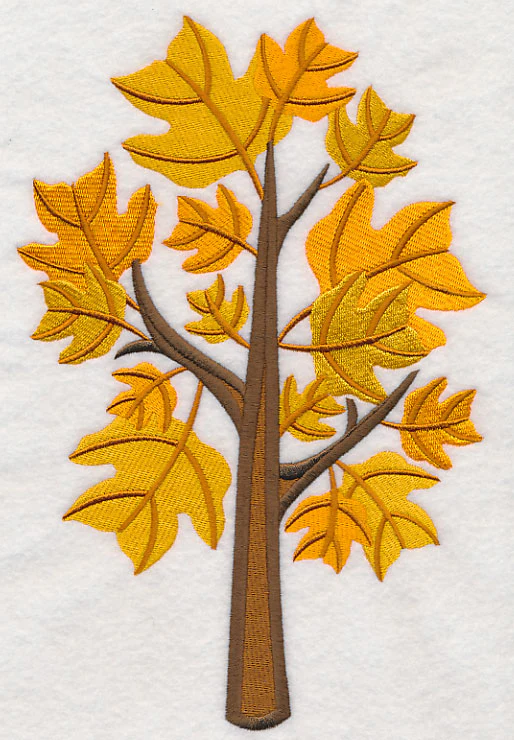 Colors of Fall - Yellow Poplar Tree - Image 6
