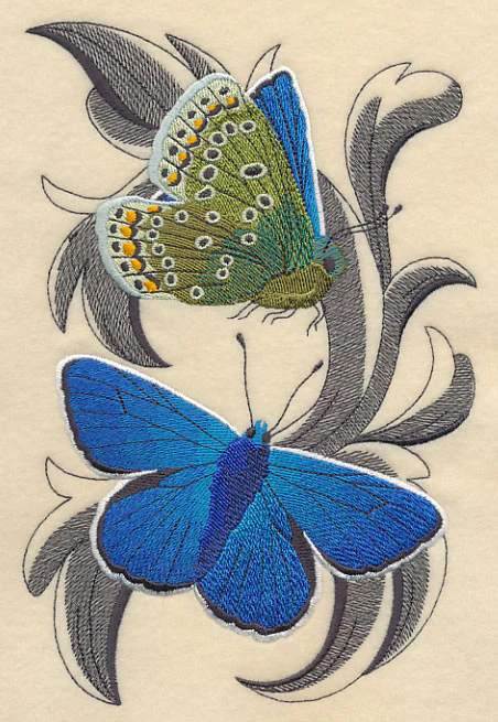 Common Blue Butterflies with Baroque Background - Image 2