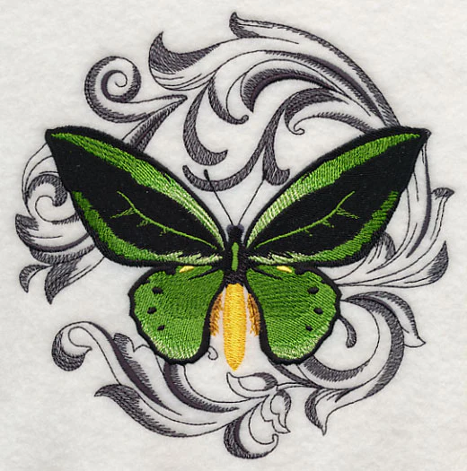 Common Green Birdwing with Baroque Background - Image 2
