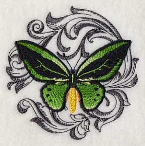 Common Green Birdwing with Baroque Background - Image 5