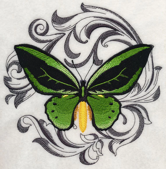 Common Green Birdwing with Baroque Background - Image 6