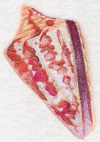 Cone Shell in Watercolor - Image 4