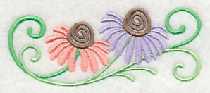Coneflower Favorite Border - Image 5