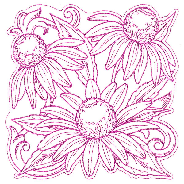 Coneflowers in Autumn Square