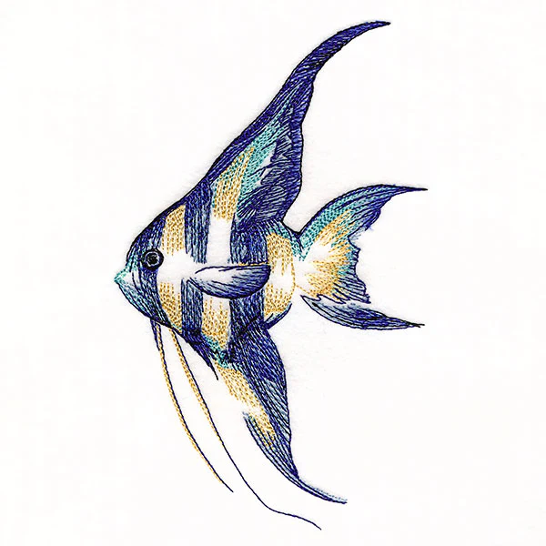 Contours of Beauty Angel Fish - Image 5