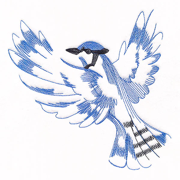 Contours of Beauty Blue Jay - Image 4