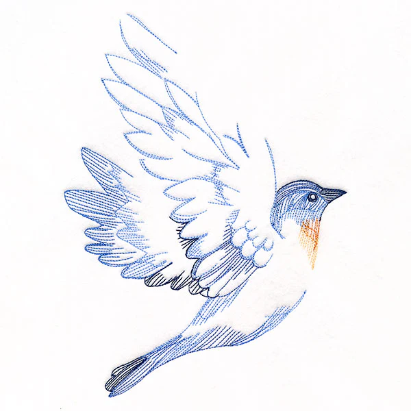 Contours of Beauty Bluebird - Image 7