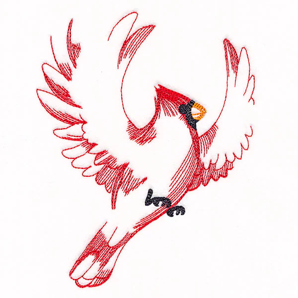 Contours of Beauty Cardinal - Image 7