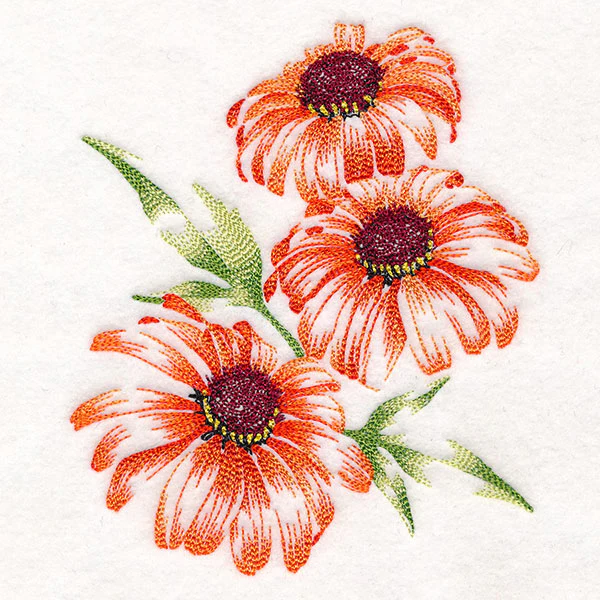 Contours of Beauty Coneflowers - Image 5