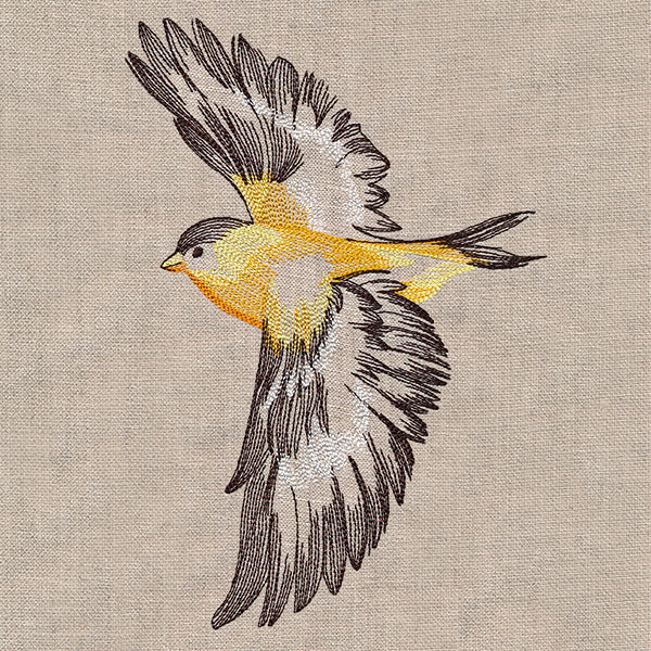 Contours of Beauty Goldfinch - Image 4