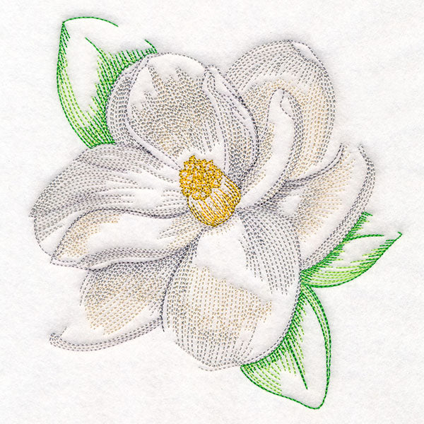 Contours of Beauty Magnolia - Image 5