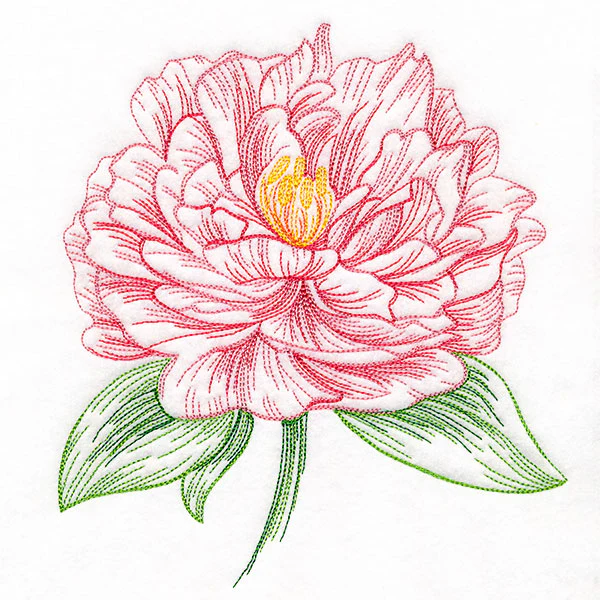 Contours of Beauty Peony - Image 4