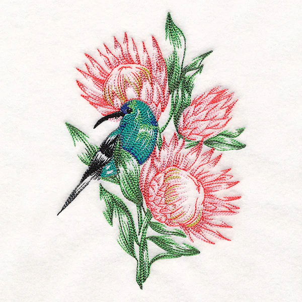 Contours of Beauty Protea and Malachite Sunbird - Image 7