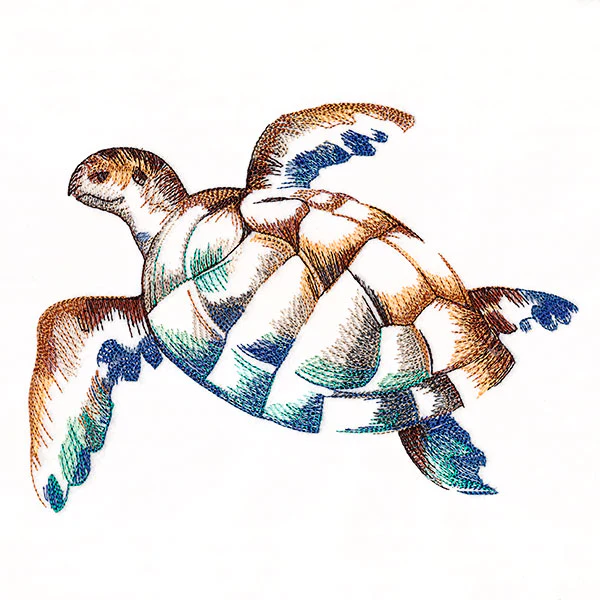 Contours of Beauty Sea Turtle - Image 2