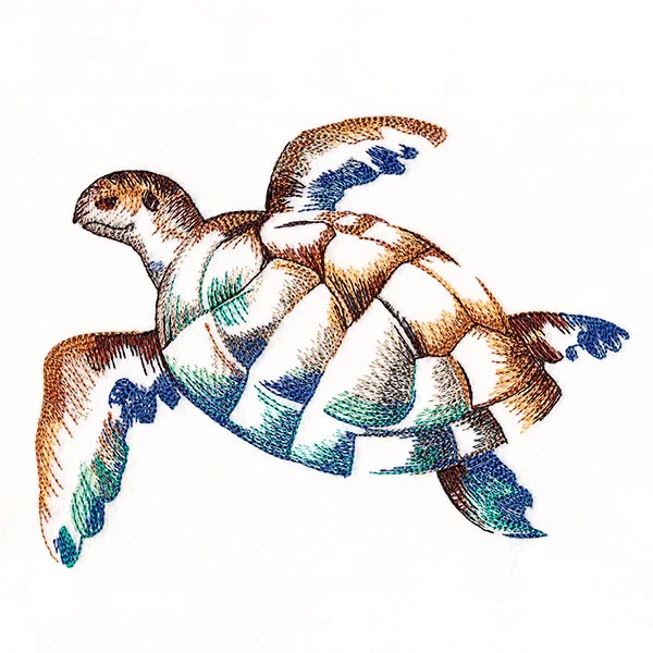 Contours of Beauty Sea Turtle - Image 3