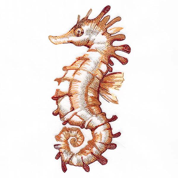 Contours of Beauty Seahorse - Image 3