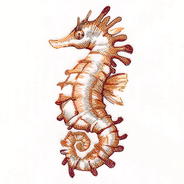 Contours of Beauty Seahorse - Image 5