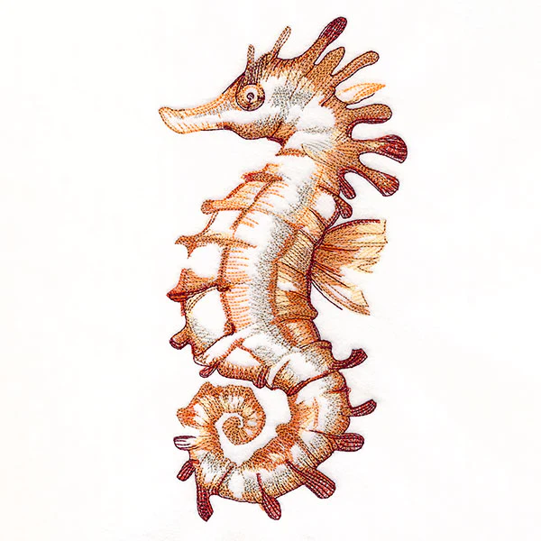 Contours of Beauty Seahorse - Image 7