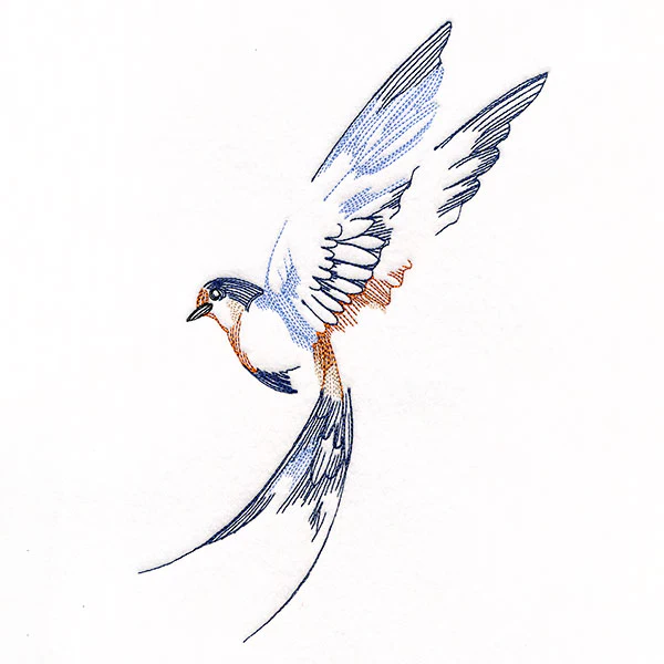 Contours of Beauty Swallow - Image 7