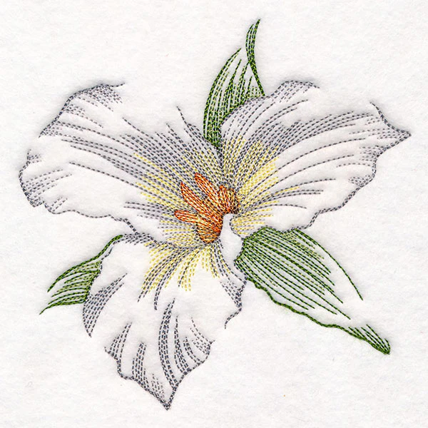 Contours of Beauty Trillium - Image 3