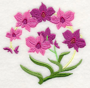 Cooktown Orchids - Image 5